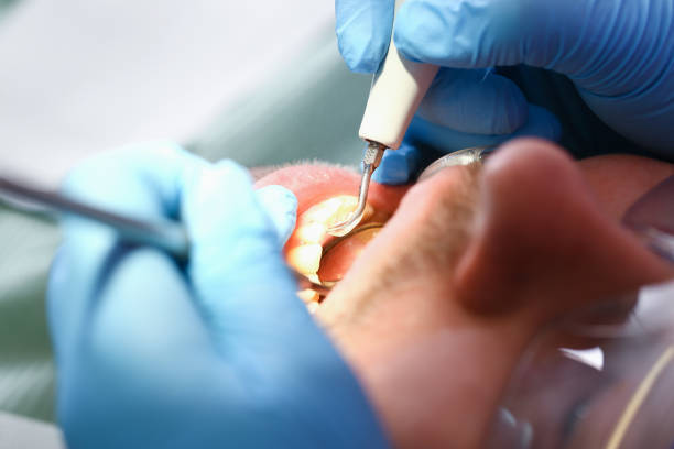 Best After-Hours Dental Trauma Care in Jemison, AL